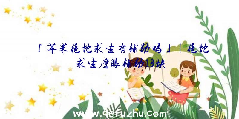 「苹果绝地求生有辅助吗」|绝地求生鹰眼辅助13块